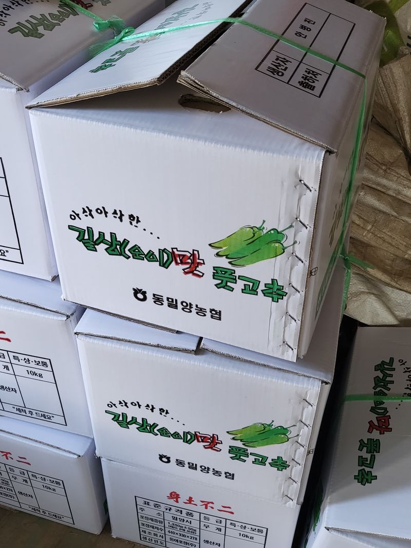 밀양농사님의 장터 판매 상품 [풋고추/홍고추10kg 산지직송 밀양고추(택포)] 첨부 사진