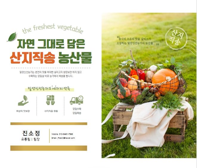 밀양농사님의 장터 판매 상품 [풋고추/홍고추10kg 산지직송 밀양고추(택포)] 첨부 사진