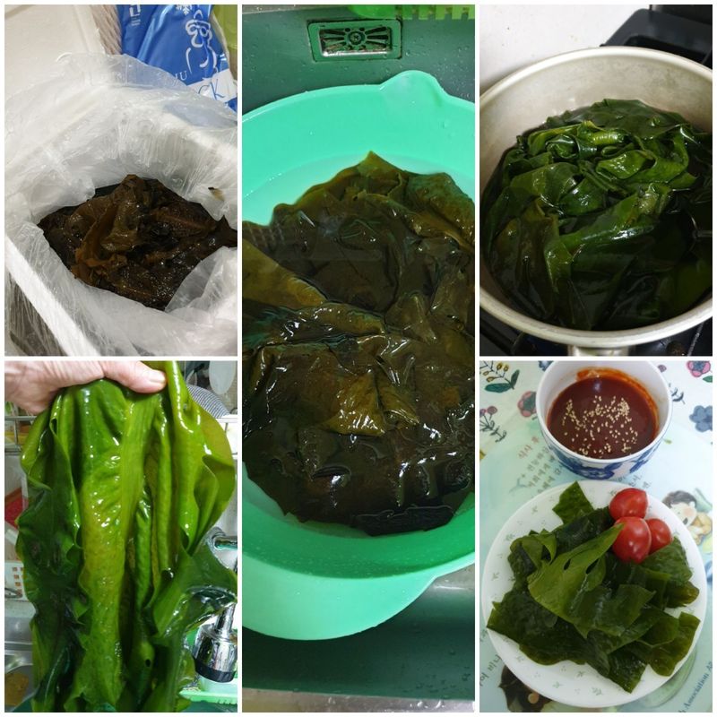 하라파파님의 장터 판매 상품 [제주 비양도 생돌미역 3키로 20인분] 첨부 사진