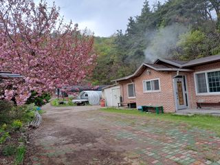 시골농부님의 감 · 자유게시판 작성글 사진