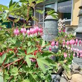 팜모닝 자유주제·자유게시판 게시글 이미지