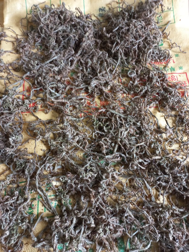 장터 상품 [고비] 썸네일