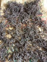 팜모닝 · 게시글 이미지