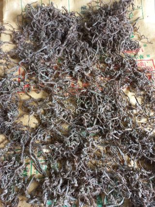 강정순님의 작성글 사진