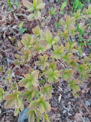 알 수 없음님의 기타작물 · 자유게시판 작성글 사진