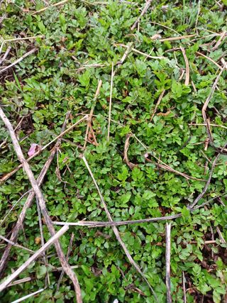 알 수 없음님의 기타작물 · 자유게시판 작성글 사진