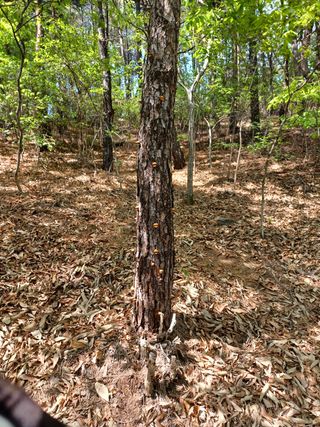 알 수 없음님의 기타작물 · 자유게시판 작성글 사진