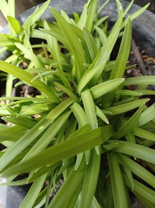 알 수 없음님의 기타작물 · 자유게시판 작성글 사진