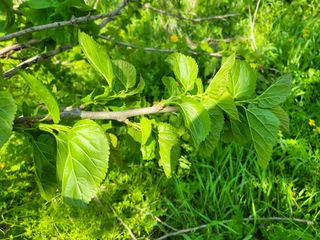허미숙님의 기타작물 · 자유게시판 작성글 사진