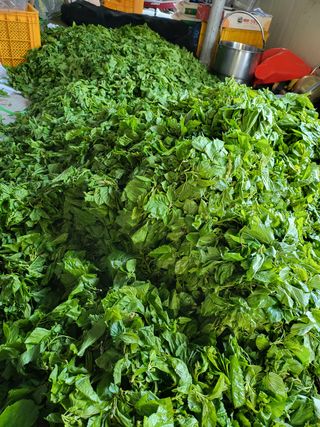 허미숙님의 기타작물 · 자유게시판 작성글 사진