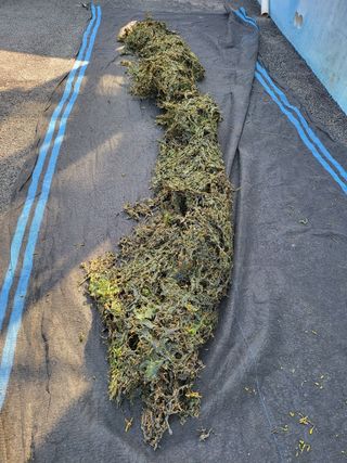 허미숙님의 기타작물 · 자유게시판 작성글 사진