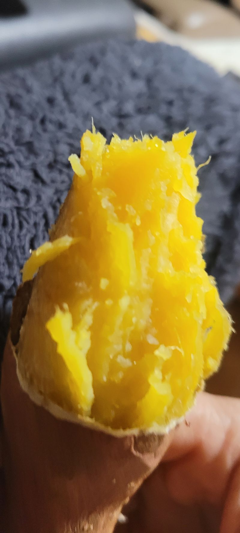 장터 상품 [고구마종순판매1단(100기준)] 썸네일