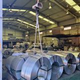 팜모닝 고추·지주설치•유인•성장 게시글 이미지