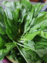 팜모닝 우리동네·동네질문 게시글 이미지