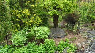 ♡5도2촌pys♡님의 우리동네 · 동네수다 작성글 사진