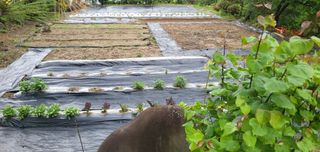 ♡5도2촌pys♡님의 우리동네 · 동네수다 작성글 사진