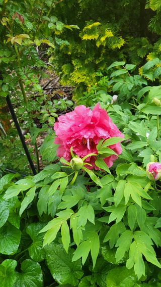 ♡5도2촌pys♡님의 우리동네 · 동네수다 작성글 사진