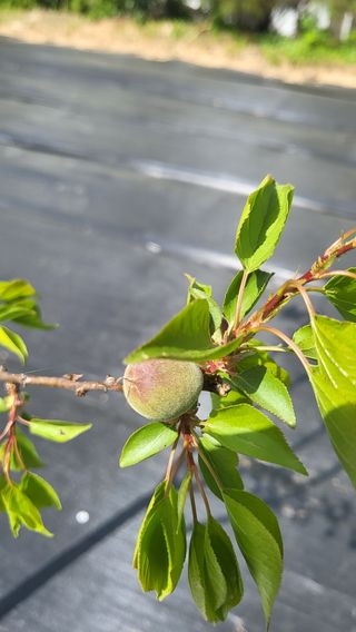 ♡5도2촌pys♡님의 우리동네 · 동네수다 작성글 사진