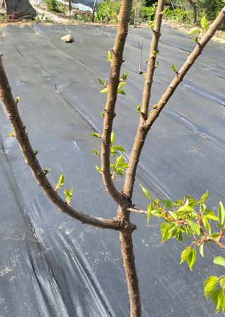 ♡5도2촌pys♡님의 우리동네 · 동네수다 작성글 사진