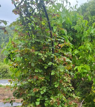 ♡5도2촌pys♡님의 우리동네 · 동네수다 작성글 사진