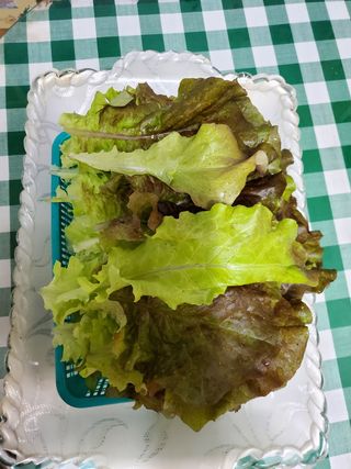 김윤철님의 상추 · 자유게시판 작성글 사진