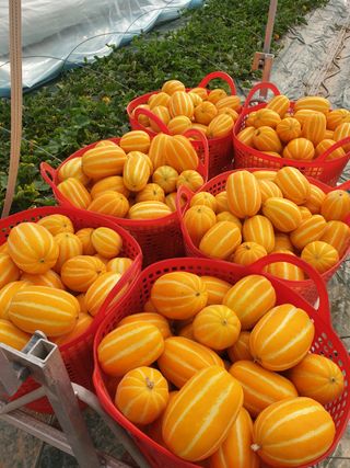 이정호담양군20대손님의 우리동네 · 동네자랑 작성글 사진