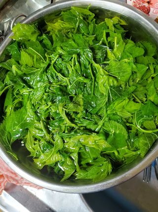 봉우재농부님의 자유주제 · 자유게시판 작성글 사진