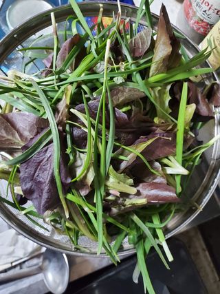 봉우재농부님의 자유주제 · 자유게시판 작성글 사진