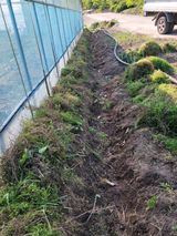 팜모닝 고추·일상 게시글 이미지