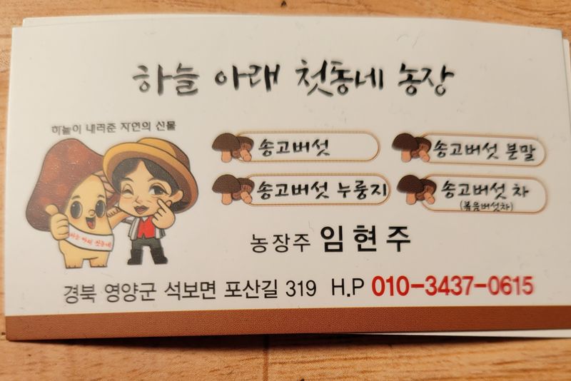 장터 상품 [송고버섯 1k. 25000 버섯 누룽지 60g×10봉 25000원 ] 썸네일