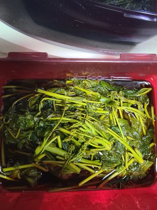 자연같이님의 자유주제 · 자유게시판 작성글 사진