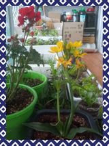 팜모닝 장터이야기·자유게시판 게시글 이미지