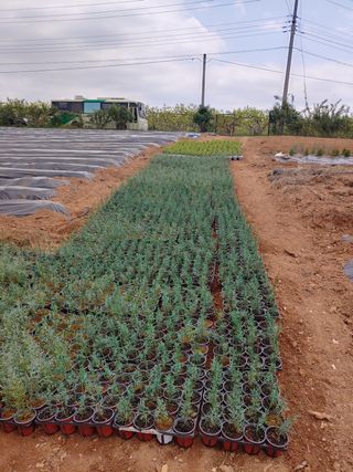 블루아이스님의 자유주제 · 자유게시판 작성글 사진