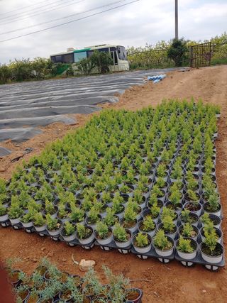 블루아이스님의 자유주제 · 자유게시판 작성글 사진