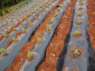 블루아이스님의 자유주제 · 자유게시판 작성글 사진