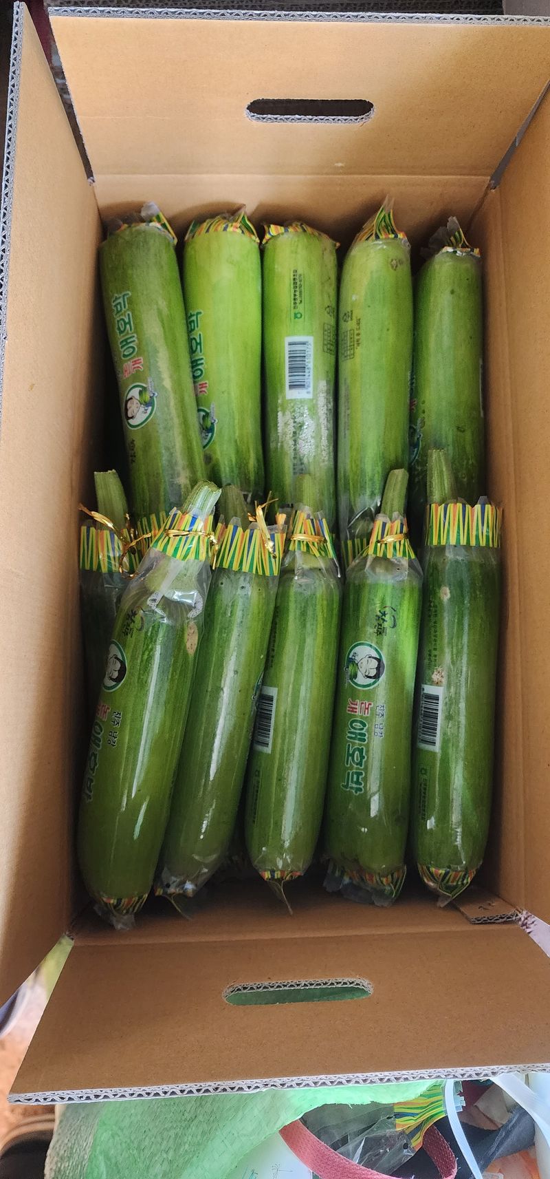 김기태님의 장터 판매 상품 [친환경 무농약 애호박 B품 판매] 첨부 사진