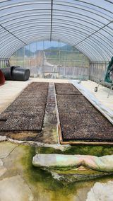 팜모닝 파·자유게시판 게시글 이미지