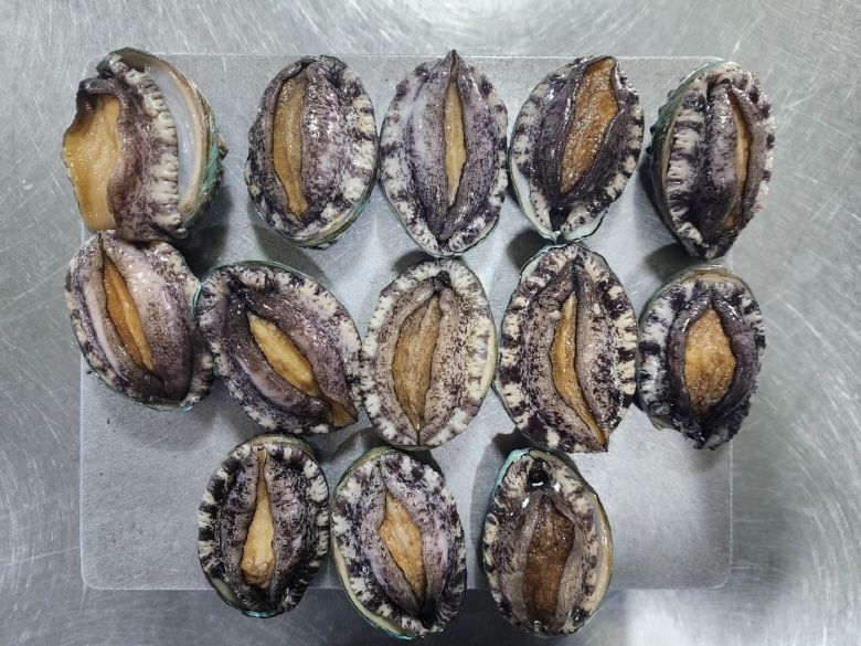 임지원님의 장터 판매 상품 [가정의달을 맞아 초신선 활전복 준비 했습니다.] 첨부 사진