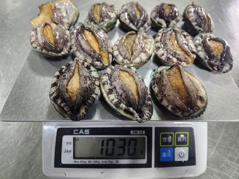 임지원님의 장터 판매 상품 [가정의달을 맞아 초신선 활전복 준비 했습니다.] 첨부 사진