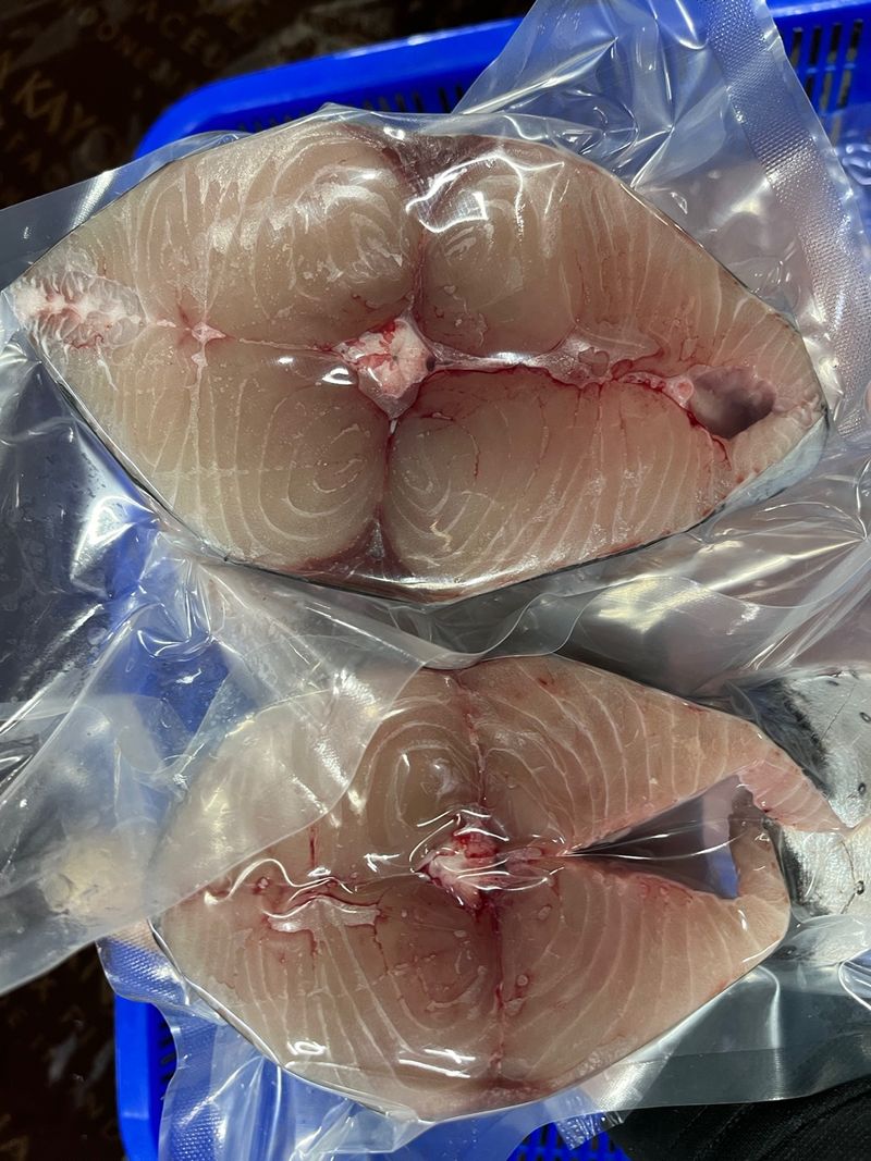 목포 물좋은수산님의 장터 판매 상품 [국내산준치회/삼치(구이용)판매합니다] 첨부 사진