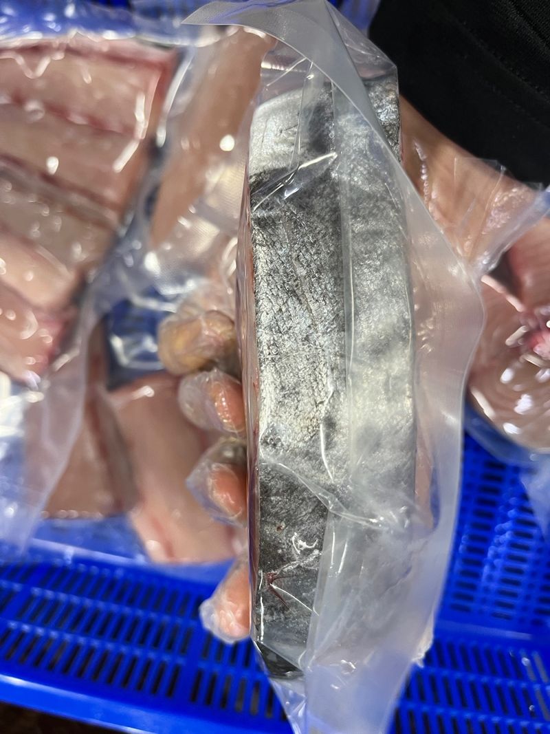 목포 물좋은수산님의 장터 판매 상품 [국내산준치회/삼치(구이용)판매합니다] 첨부 사진