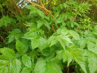 이혜숙님의 자유주제 · 자유게시판 작성글 사진