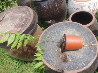 이혜숙님의 자유주제 · 자유게시판 작성글 사진