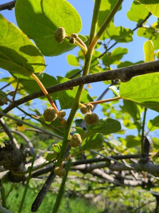 노고단님의 기타작물 · 자유게시판 작성글 사진