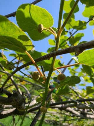 노고단님의 기타작물 · 자유게시판 작성글 사진