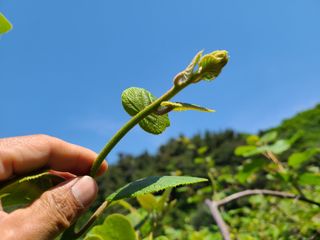 노고단님의 기타작물 · 자유게시판 작성글 사진