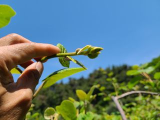 노고단님의 기타작물 · 자유게시판 작성글 사진