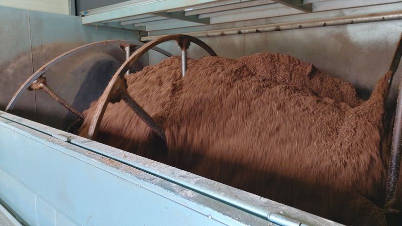 천현석님의 장터 판매 상품 [표고버섯 배지 1.3kg] 첨부 사진