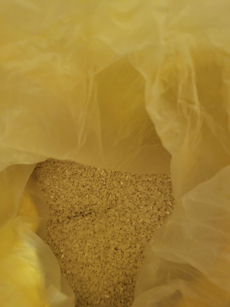 장터 상품 [향미쌀 20kg 판매해요] 썸네일