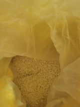 팜모닝 · 게시글 이미지